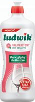 Indų ploviklis Ludwik su greipfrutais, 900 g