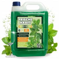 Indų ploviklis FRISCHE KRAFT, mėtinio kvapo, 5 l, 6in1 formulė