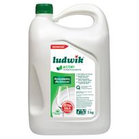 Indų ploviklis LUDWIK MINT, 5 l