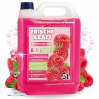Indų ploviklis FRISCHE KRAFT, aviečių kvapo, 5 l, 6in1