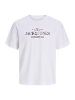 Jack & Jones Junior Marškinėliai 'JORFREDERIKSBERG' šokolado spalva / balta