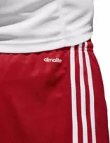 Adidas Futbolo Šortai Squad 17 Shorts Raudona BJ9226P