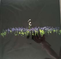 Vinyl (LP) Jessica Shy – Liepa