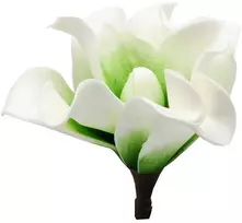 Dirbtinė gėlė magnolijos žiedas, 6 vnt. - Šviesiai vyšninė