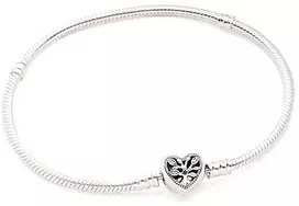 Pandora apyrankė 598827C01