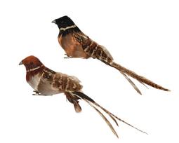 Įsegama kalėdinė dekoracija BIRD, rudos sp., 2 rūšių, 4 x 5,5 x 20 cm, 1 vnt