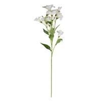 Dirbtinių gėlių puokštė ILAJA Phlox, 4 spalvų, 75 cm
