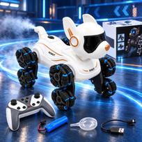 Interaktyvus nuotoliniu būdu valdomas robotas šuo TR2384C