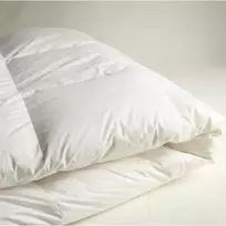 Saules Patalyne Žąsų pūkinė antklodė (70%-pūkų, 30%-plunksnų) su tiku EXCLUSIVE PLUS , 160x200 cm