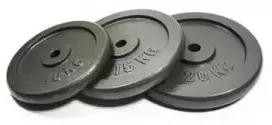 Ketaus svarmenys SPORTBAY 1.25-20kg (30mm) (Svoris: 10 kg)