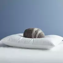 Saules Patalyne Žąsų pūkinė pagalvė su tiku (90%-pūkų, 10%-plunksnų) EXCLUSIVE ULTRA , 50x60 cm