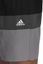 Adidas Maudymosi Šortai Vyrams Block Clx Sl Pilkas Juodas