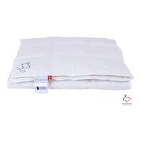 Iš plunksnų antklodė ir užpildas vasaros sezonui 200x220 cm Jack the Dullard – Ringsted Dun