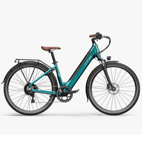 Fido Electric bicycle FIIDO C11 Pro, Green