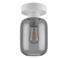 BRILAGI - LED Lubinis šviestuvas R GLASS 1xE27/60W/230V skersm. 14 cm balta/dūminė pilka