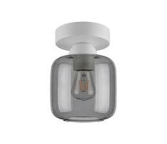 BRILAGI - LED lubų šviestuvas R GLASS 1xE27/60W/230V Ø 14 cm balta/dūminė pilka