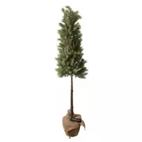 Kalėdinė dekoracija  Tree on stem, 106 cm