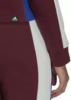 Adidas Sportinis Kostiumas Moterims W Ts Big Logo Burgundy H48550