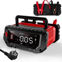 Automobilio akumuliatoriaus įkroviklis P20PRO, 12V/24V, 20A, LiFePO4