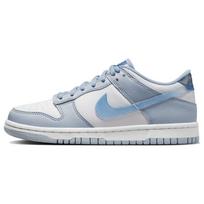 Nike Dunk Low Next Nature Blue Whisper Iridescent GS FJ4668-400 39 gray