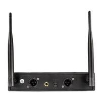 DNA Professional DVS2 - wireless microphone, 2, MIHDNFDVS2