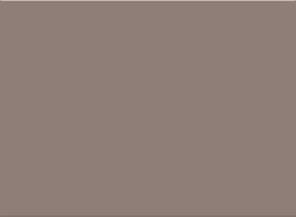 Beige front floor mats for: Mitsubishi L200 Triton pickup (2001-2006)