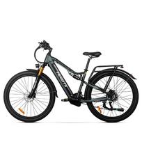 Electric Bike HedaTX TX19 1000W Peak 48V 19.2Ah 29 Inch Full Suspension Electric Mountain Bike-Gray