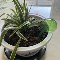 Watering Flower Imitation Glass Lazy Round Plant Flower Control Drip Ball Drip Irrigation Outdoor Garden Waterings Accessories S-Green white