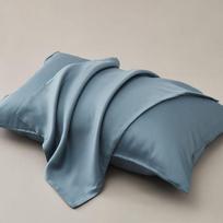Class A 100 Tencel Silk Pillowcases Ice Silk Cool Pillowcases Solid Color Mulberry Silk Pillowcases 48x74cm [1 piece] gray