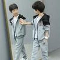 Boys' Casual Sports Suit with Zip-up Hoodie and Pants - Stylish Color Block Design for Spring and Autumn 140 gray