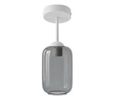 BRILAGI - LED prie lubų montuojamas liustras R GLASS 1xE27/60W/230V skersmuo 14 cm balta/dūminė pilka