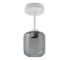 BRILAGI - LED prie lubų montuojamas šviestuvas R GLASS 1xE27/60W/230V skersmuo 14 cm balta/dūminė pilka