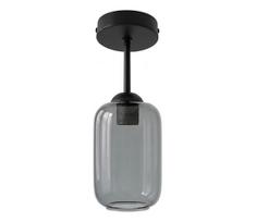 BRILAGI - LED paviršinis lubų šviestuvas R GLASS 1xE27/60W/230V skersmuo 14 cm juoda/dūminė pilka