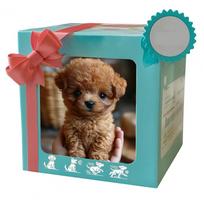 Electric Pet Robot Dog Realistic Fluffy Puppy Robot Interactive Toy Dog Walking Barking Tail Wagging Dog For Kids Adults Gift brown
