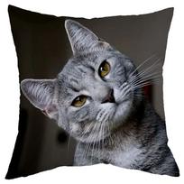 Cute little Lazy cat series living room sofa decoration cushion cover bed children's  home  pillowcase 16x16Inch gray