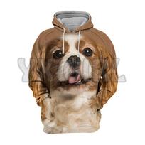 Animals Dogs Cavalier King Charles Spaniel Lovely  3D Printed Hoodies  Unisex Pullovers Funny Dog Hoodie Casual Street Tracksuit 6XL brown