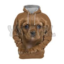 Animals Dogs Cavalier King Charles Spaniel Lovely  3D Printed Hoodies  Unisex Pullovers Funny Dog Hoodie Casual Street Tracksuit 6XL brown