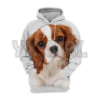 Animals Dogs Cavalier King Charles Spaniel Lovely  3D Printed Hoodies  Unisex Pullovers Funny Dog Hoodie Casual Street Tracksuit S brown