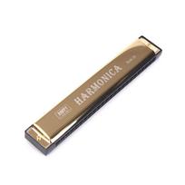 24-hole Key Harmonica Tremolo Armonica Double Row Blues, grojo C auksas
