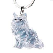 Bag Charm Cat Hair Storage Box Transparent Keychain Souvenirs  for Pet Lovers B