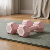 Hex Dumbbells Hexagonal Dumbbell Solid Molded NonSlip 1KG X 2 Pink 1.5KG X 2 rožinė