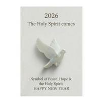 Pocket Hug Gift 3D Printed/2D Acrylic Peace Bird with Card Pigeon Pocket Hug Token Emotional Support Keepsake Gift for Friends Family Three-dimensional? white