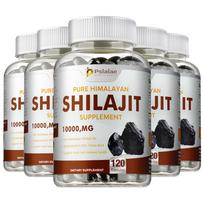 Pslalae - 10000mg Himalayan Shilajit Capsules - Brain and Immune System Health 120*5