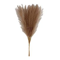 20Pcs 50cm/22in Tall Artificial Pampas Grass Plush Faux Grass Artificial Flowers  Home Decoration ruda