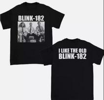 Workaholics I Miss The Old Blink 182 Unisex T-Shirt All Size L gray