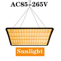 Viso spektro LED auginimo lemputė 1000W AC110V 220V fito lempa su įjungimo/išjungimo jungikliu šiltnamio hidroponiniam augalų augimo apšvietimui US AC85-265V