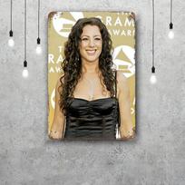 Sarah McLachlan Dekoratyvinis plakatas Vintažinis skardos ženklas Metalinis ženklas Dekoratyvinė lentelė Pub Bar Man Cave Klubui Sienų dekoracija 20x30cm（7.8x11.8inch） gray