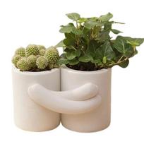 baizihuahu Hug Design Flowerpot, White Matte Texture 3D Printed Double Basin Planter, Nordic Style Small Green Plant Pot for Desktop Decoration balta