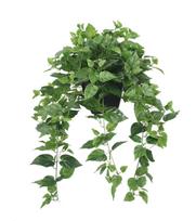 365 Blooming Deco Realistic Artificial Potted Pothos Ivy Plant Syndapsus Premium Fake Plant for Home and Office 30 inches Tall x inches Assembly žalia