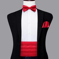 Hi-Tie Vyriški Cummerbundai Senoviniai Formalūs Žakardiniai Pailey Peteliškė Servetėlė Manžetės Cummerbund Diržas Korsetas Vyrui Vestuvės Prom white